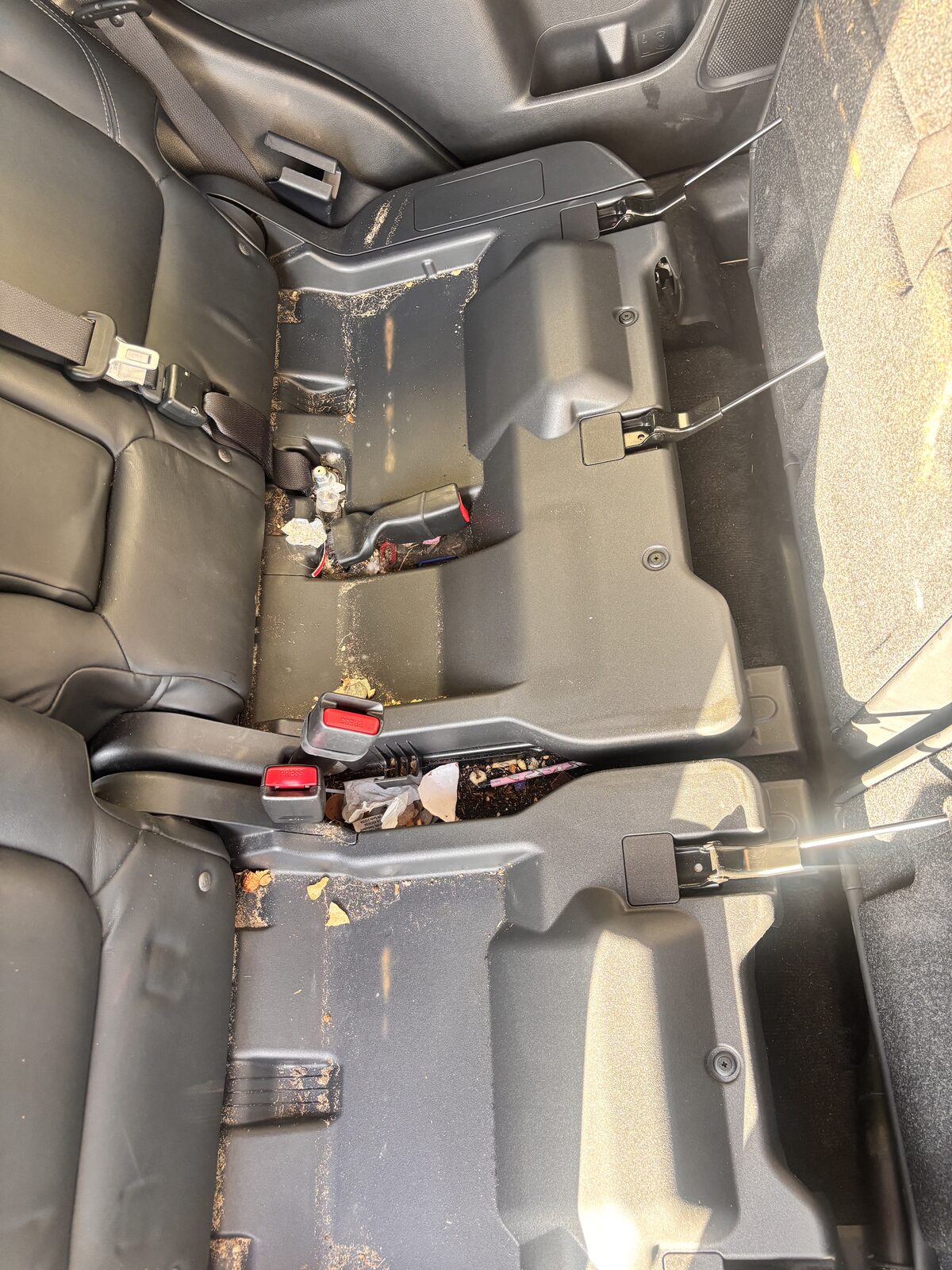 Leather rear seats before detailing